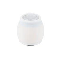 Ironman LED Lantern & Bug Zapper