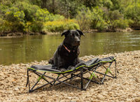 Ironman XLarge Quick Fold Dog Bed with padded Mat